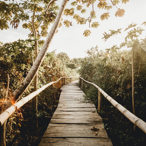 公和我在厨房添我奶头视频
