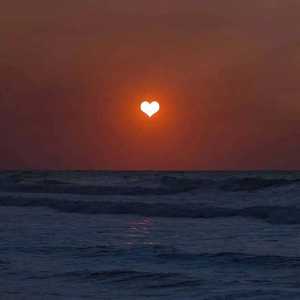 公和我在厨房添我奶头视频
